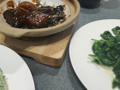 -新吉士·上海菜(浦东LCM置汇旭辉店)