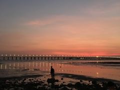 -宝安西湾红树林湿地公园