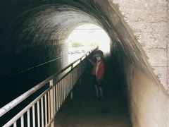 -白水寺森林公园