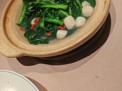 鲜贝柱浸农场菜心-小炳胜(卓悦中心店)