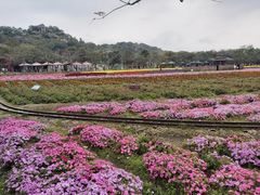 -丹樱生态园