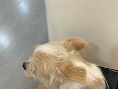 -阿荣24H宠物医院·综合型转诊中心·CT·核磁影像中心