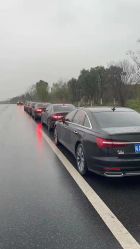 -蚂蚁婚车