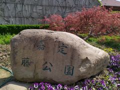 -嘉定紫藤园