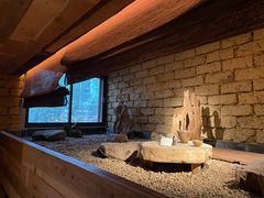 -天水蔬食料理(树德之光店)