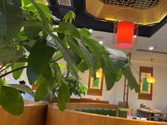 -大鸽饭(马王堆店)