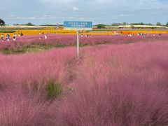 -江苏三台山国家森林公园