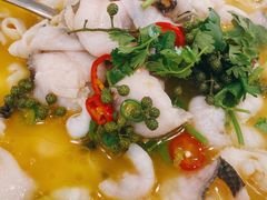 -蜀腾川·火锅鱼.烤鱼(新世界城店)