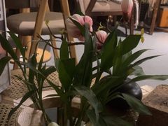 -施奈儿.洗头頭療.按摩SPA.采耳(上梅林店)
