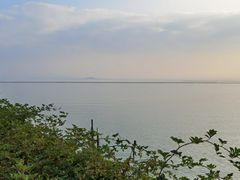 -贡湖湾湿地公园