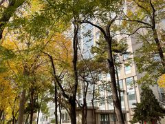 -星光教育超市(传媒大学店)