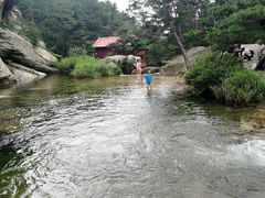 -无染寺