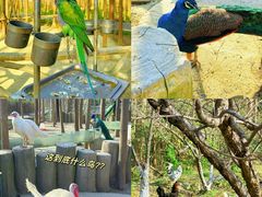 -昆山城市生态森林公园