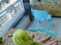 -怪兽屋·羊驼·猫咖·狗咖(俊华广场店)