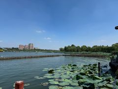 -济南大明湖景区