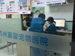 -嘉馨宠物医院·CT影像转诊·心脏科·犬猫全科诊疗中心(下沙大学城院区)