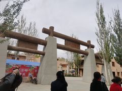 -金塔沙漠胡杨林景区