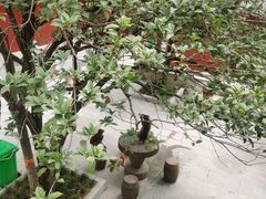 -黔灵山公园