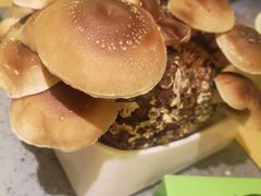 -鲜货俚鲜火锅(青果路店)