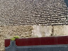 -小洲村