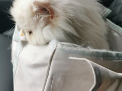 -江南大学(蠡湖校区)