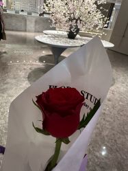 -广州美莱医疗美容医院