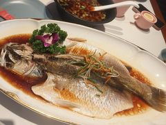-老周家酱卤猪蹄私房菜(克拉玛依西街店)
