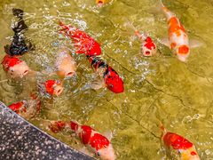 -古莲·影院足道·按摩SPA(水上温泉店)