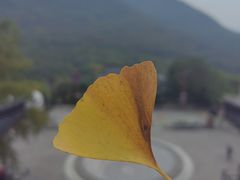 -句容茅山景区