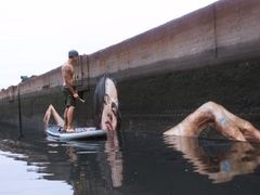 -八哥美术·成人美术画室(总校区)