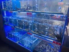 -石锅苗苗鱼(武汉首店)