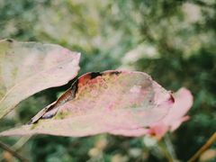 -金堂县云顶石城风景区