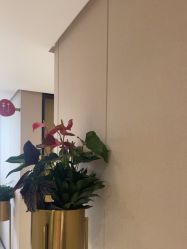 -广东韩妃整形外科医院