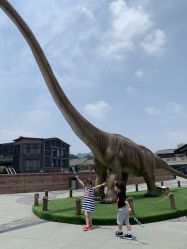 -恐龙探索乐园(磁器口店)