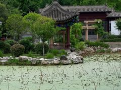 -莲湖公园