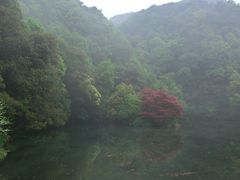 CIMG0068-九溪烟树