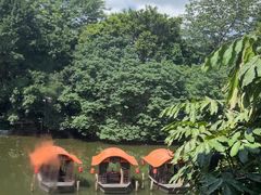 -侨美·唐荔园·40年地道粤菜