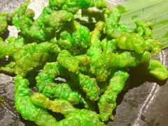 -一朵菌·野生菌探索家火锅(南亚店)