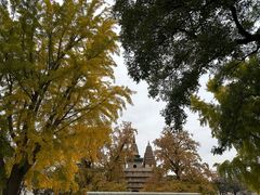 -北京石刻艺术博物馆(五塔寺)