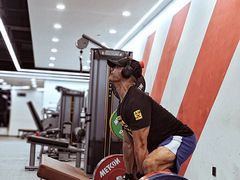 -WEGYMER健萌健身(麦德龙钰龙天下馆)