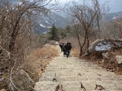 -鲁山国家森林公园