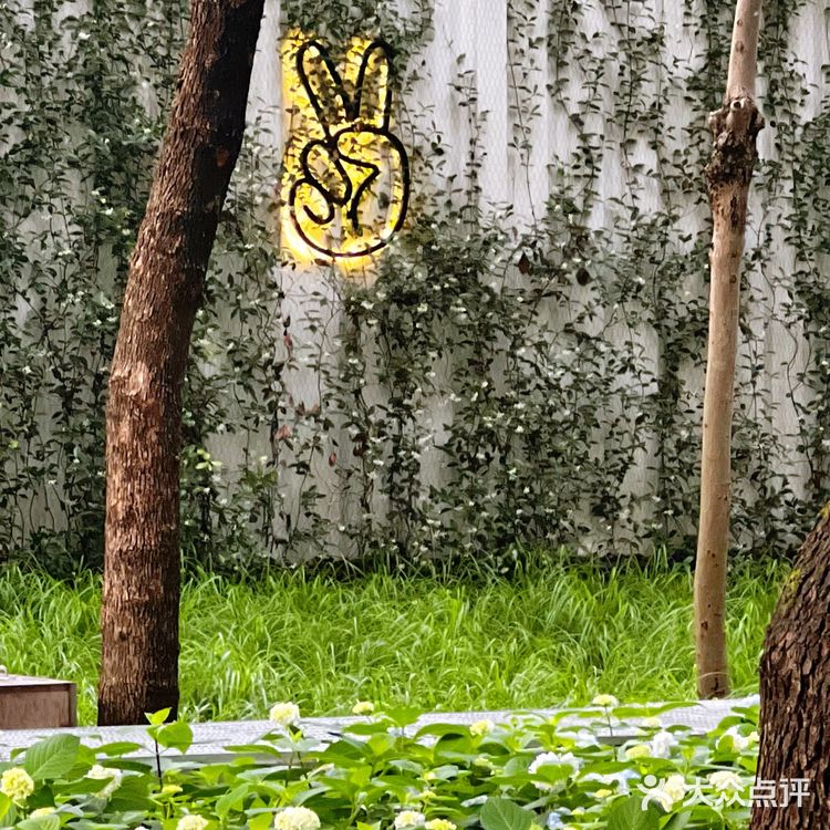 上海|三家郊区宝藏咖啡馆合集☕️☕️🍵🍽️🍰