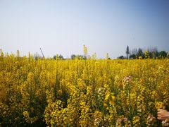 -中国天府农业博览园