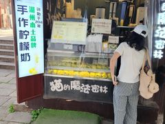 -猫的魔法密林(衣裳街店)