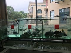 -天和楼·精致太湖酒家(太湖店)