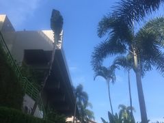 -普吉岛凯悦酒店