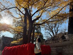 -红螺寺