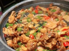 青椒紫苏味-蛙小侠·沸腾砂锅牛蛙(增城东汇城店)