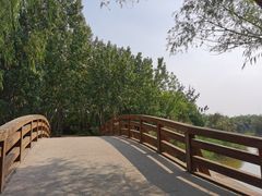 -塘沽森林公园
