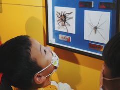 -上海昆虫博物馆